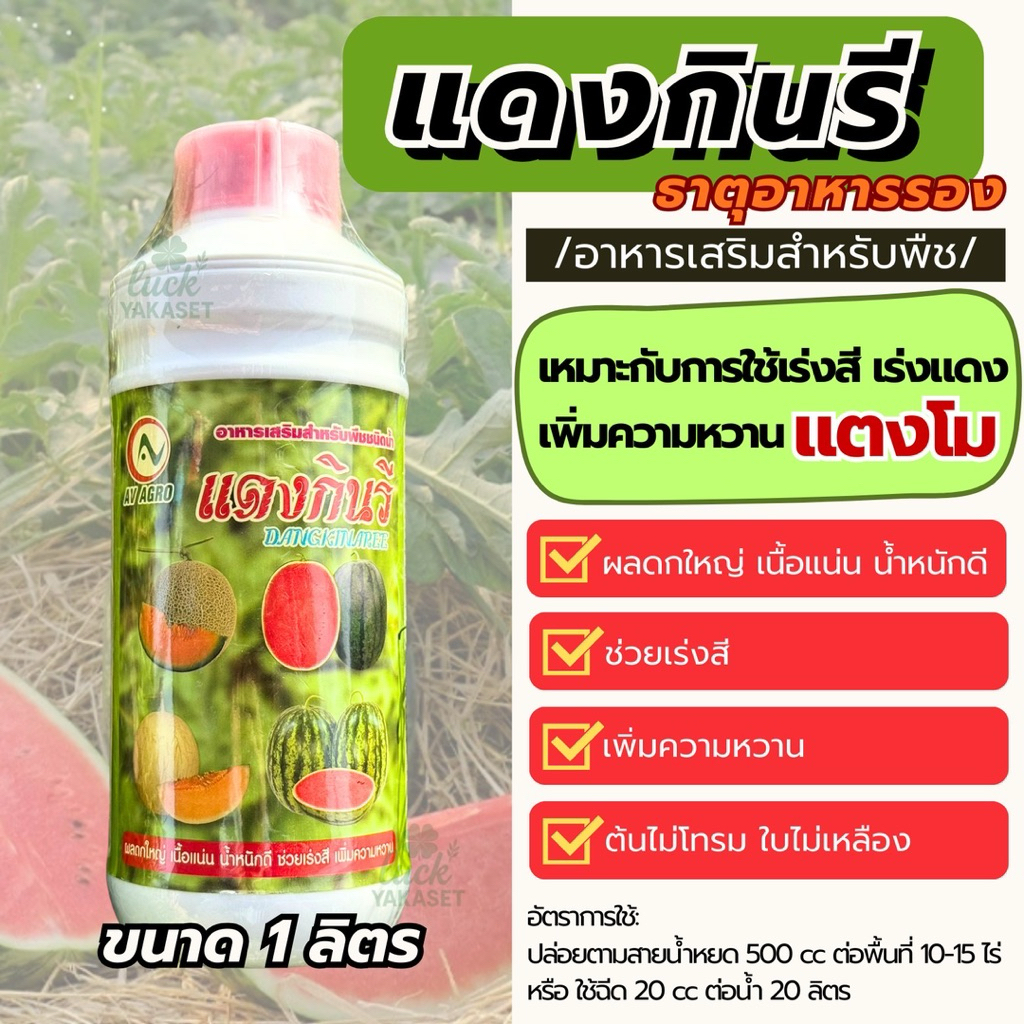พร้อมส่ง!! แดงกินรี ❤️🍉  AV AGRO 1 ลิตร ธาตุอาหารรองแตงโม เร่งสี เร่งแดง เพิ่มความหวาน เนื้อแน่น ผลใหญ่ น้ำหนักดี