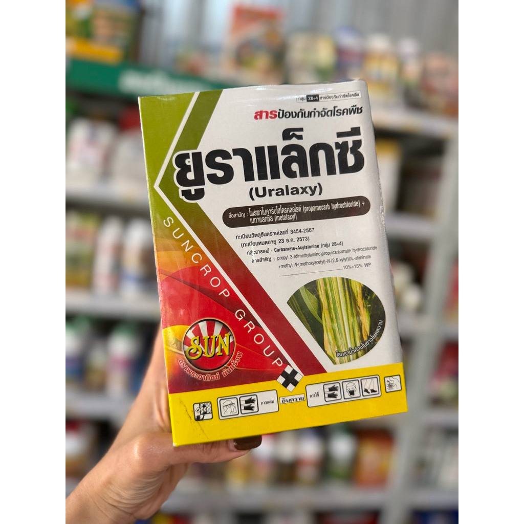 ยูราแลกซี่ (โพรพาโมคาร์บไฮโดรคลอไรด์ + เมทาแลกซิล ) ขนาด 500 กรัม กำจัดเชื้อรา รากเน่าโคนเน่า โรคเน่าคอดิน
