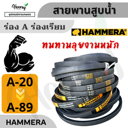 สายพาน HAMMERA V-Belts ร่อง A ทนทานสูง เพิ่มประสิทธิภาพเครื่องจักร