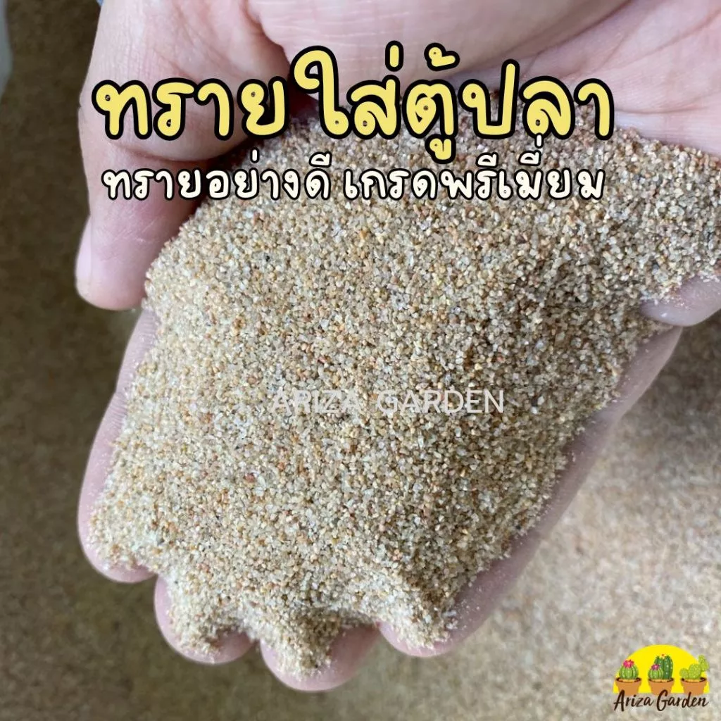 สินค้าลอตใหม่ !! ทรายใส่ตู้ปลา ทรายพรีเมี่ยม ทรายใส่ตู้ปลาอย่างดี แบ่งบรรจุ 1 กก. thumbnail 7