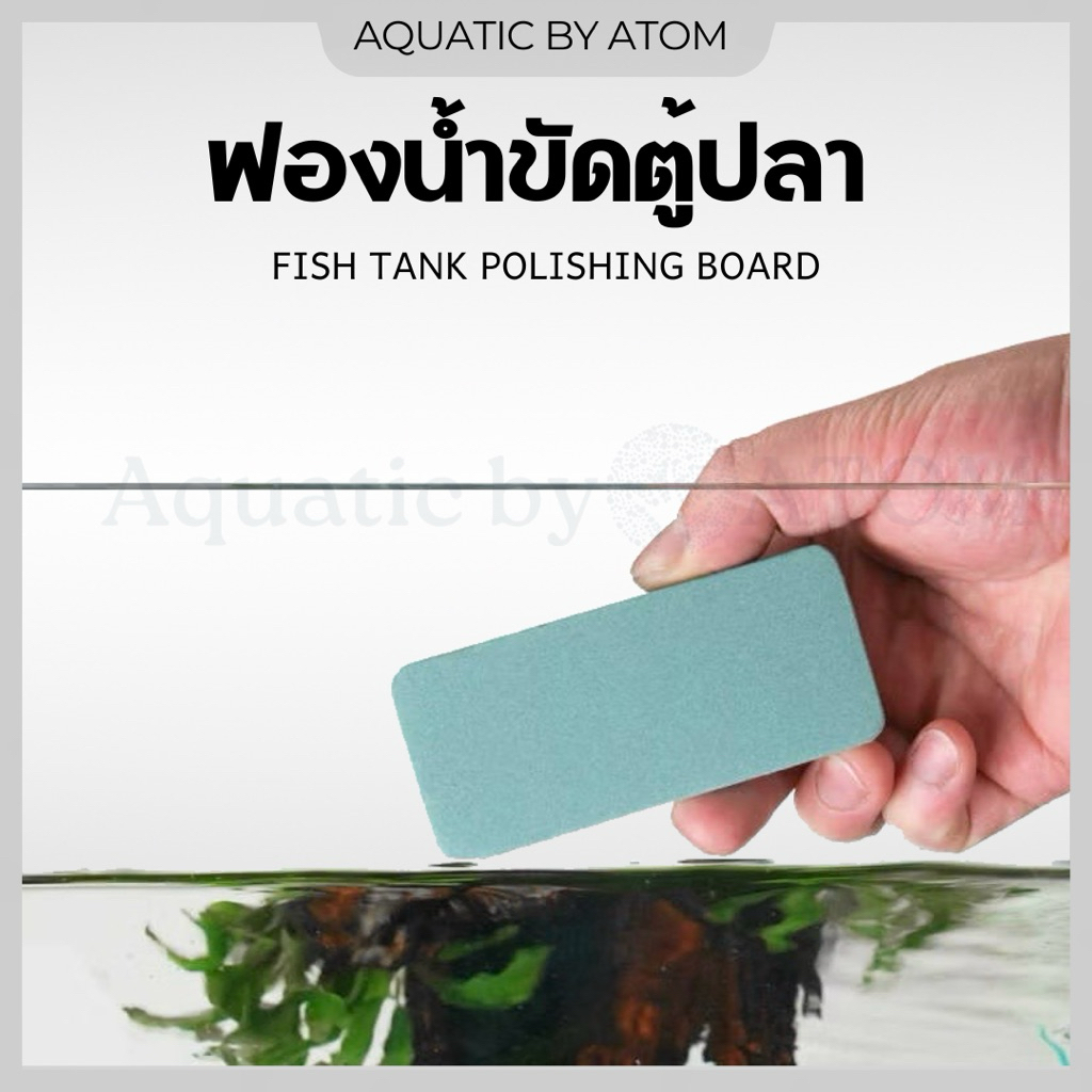 ฟองน้ำขัดตู้ปลา ตู้กระจก แผ่นขัดคราบตะกรันตู้ปลา FISH TANK POLISHING BOARD