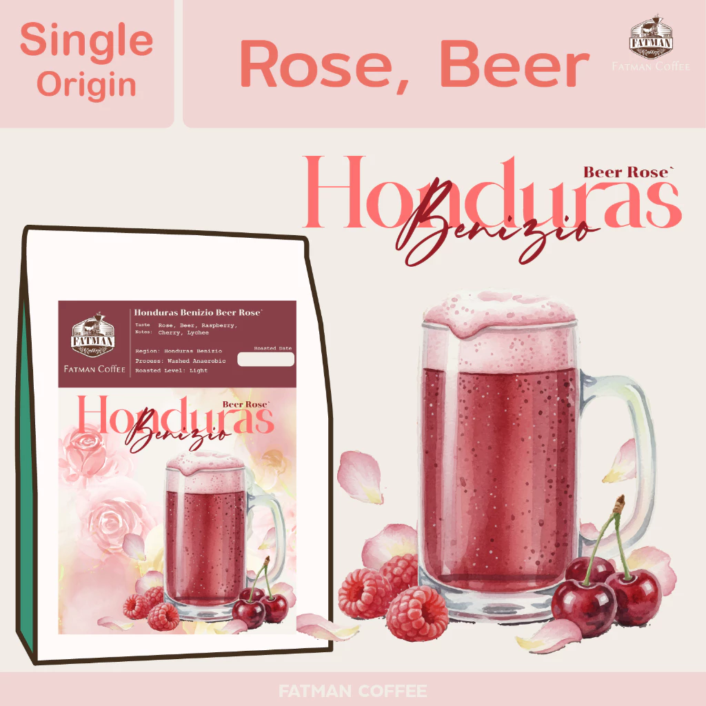 เมล็ดกาแฟคั่วอ่อน Honduras Benizio (Rose')