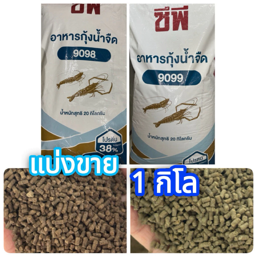 (แบ่งขาย 1กิโล) อาหารกุ้ง CP อาหารกุ้งน้ำจืด อาหารกุ้งเครฟิช อาหารกุ้งก้ามกราม กุ้งสวยงาม