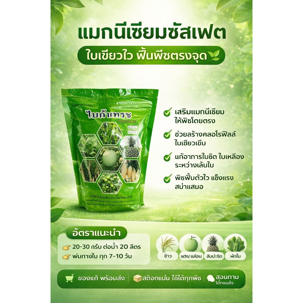 ไบก้าเทรซ แมกนีเซี่ยมซัลเฟต( 1KG )(รูปคีเลท)( Magnesium Sulphate ) ช่วยสังเคราะห์แสง ใบเขียวเข้ม