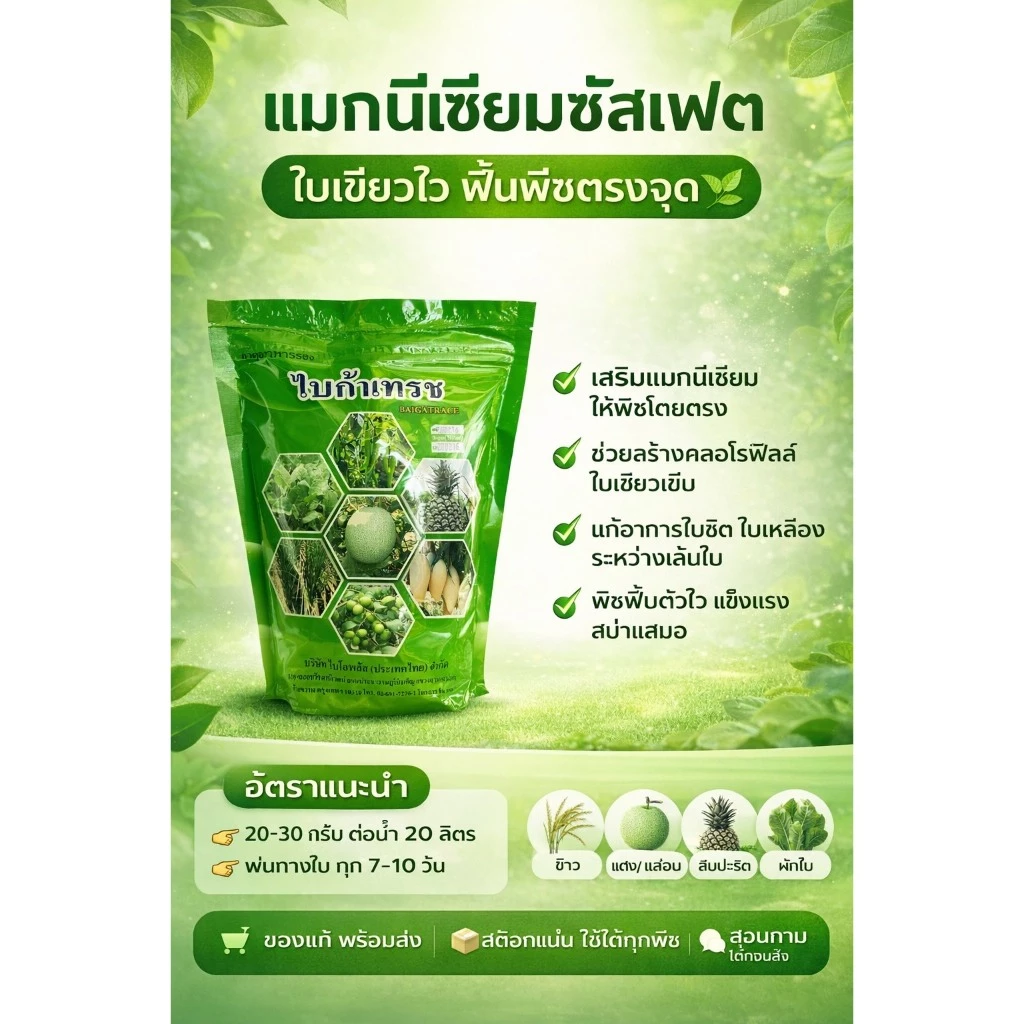 ไบก้าเทรซ แมกนีเซี่ยมซัลเฟต( 1KG )(รูปคีเลท)( Magnesium Sulphate ) ช่วยสังเคราะห์แสง ใบเขียวเข้ม