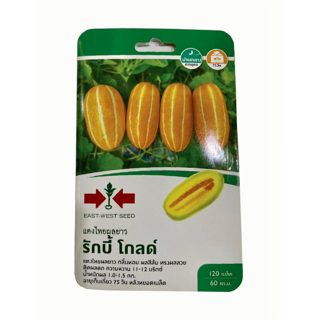 แตงไทยลูกยาว รักบี้ โกลด์ 120 เมล็ด ศรแดง