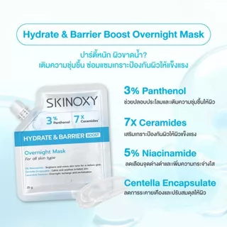 SKINOXY Overnight Mask สกินอ๊อกซี่ โอเวอร์ไนท์ สลีปปิ้งมาส์ก 25 g