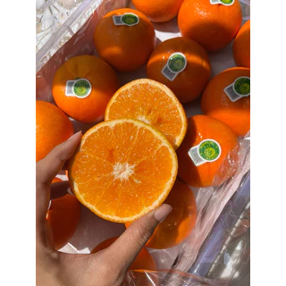 ทำด้วยใจ - ส้มไต้หวันเนื้อเยลลี่ หวาน ฉ่ำ