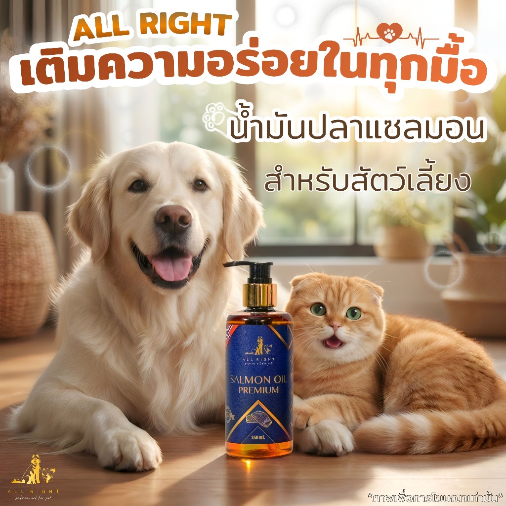 ALL RIGHT น้ำมันปลาแซลมอน สำหรับสัตว์เลี้ยง บำรุงขนผิวหนัง ช่วยเจริญอาหารสำหรับสุนัขและแมว SalmonOil