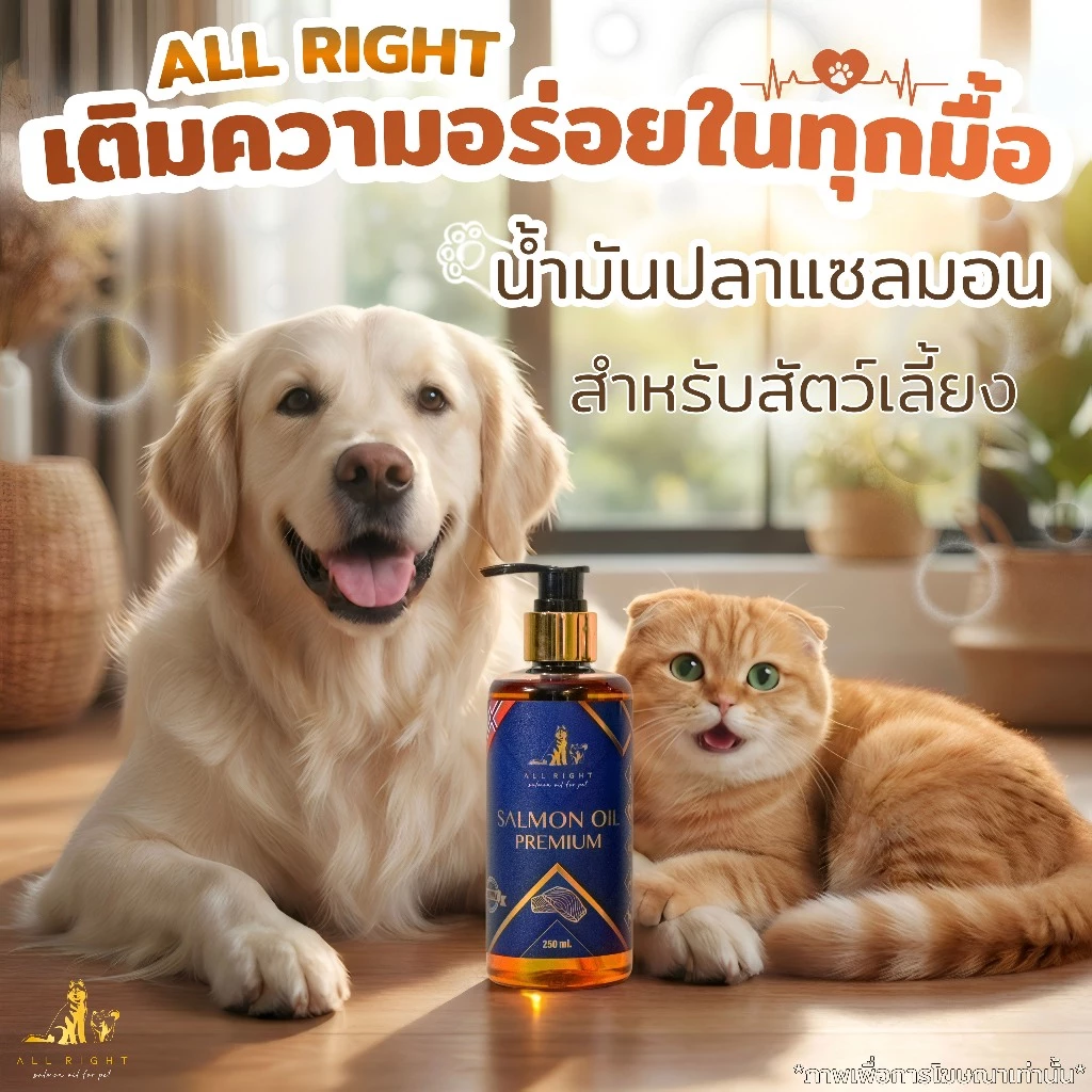 ALL RIGHT น้ำมันปลาแซลมอน สำหรับสัตว์เลี้ยง บำรุงขนผิวหนัง ช่วยเจริญอาหารสำหรับสุนัขและแมว SalmonOil