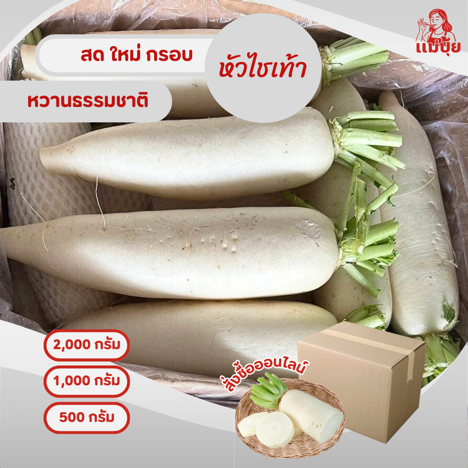 หัวไชเท้านำเข้าหัวอวบ ใบสั้น #แม่ปุ้ย สดใหม่กรอบ