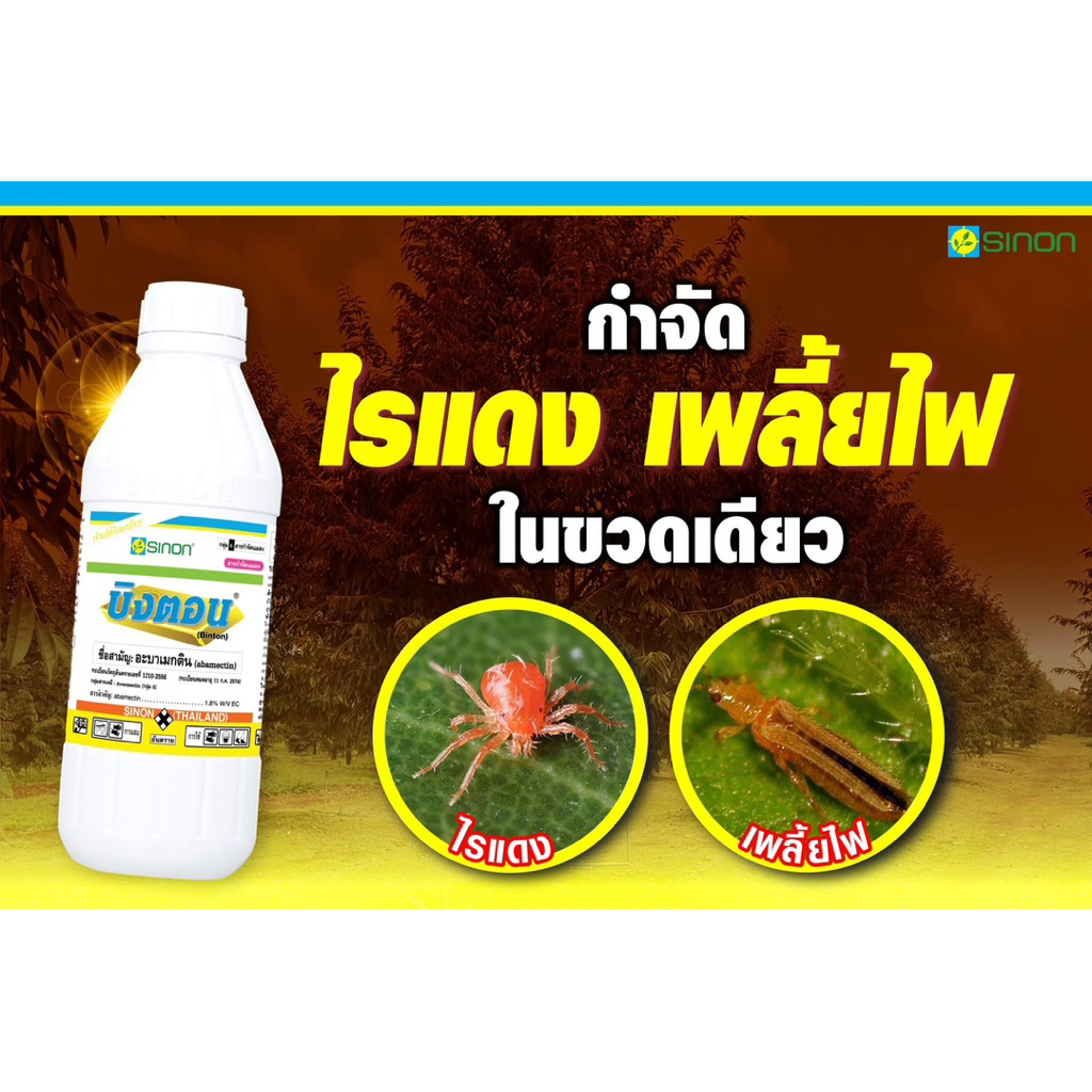 บิงตอนกำจัดเพลี้ยไฟไรแดงในขวดเดียว(อะบาเมกติน1.8%w/v)ECขนาด1ลิตร