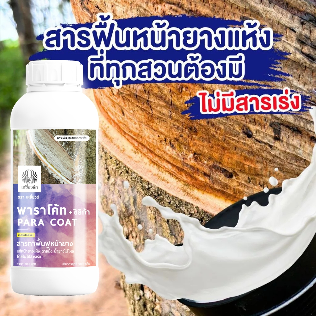 [แก้หน้ายางตายนึ่ง] ยาทาหน้ายาง หน้ายางแห้งจากยาเร่ง สารเร่งน้ำยาง ปุ๋ยยาง ฟื้นต้นจากราดำ ราสีชมพู ใช้แทนปูนแดง พาราโค้ท