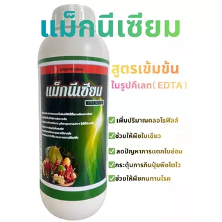เเม็กนีเซียมเสริม🌳ธาตุกำมะถัน เหล็ก แมงกานีสในรูปคีเลท (EDTA)+อะมิโน ช่วยให้ใบพืชเขียวเข้มกระตุ้นการกินปุ๋ยพืชโตไว 1ลิตร