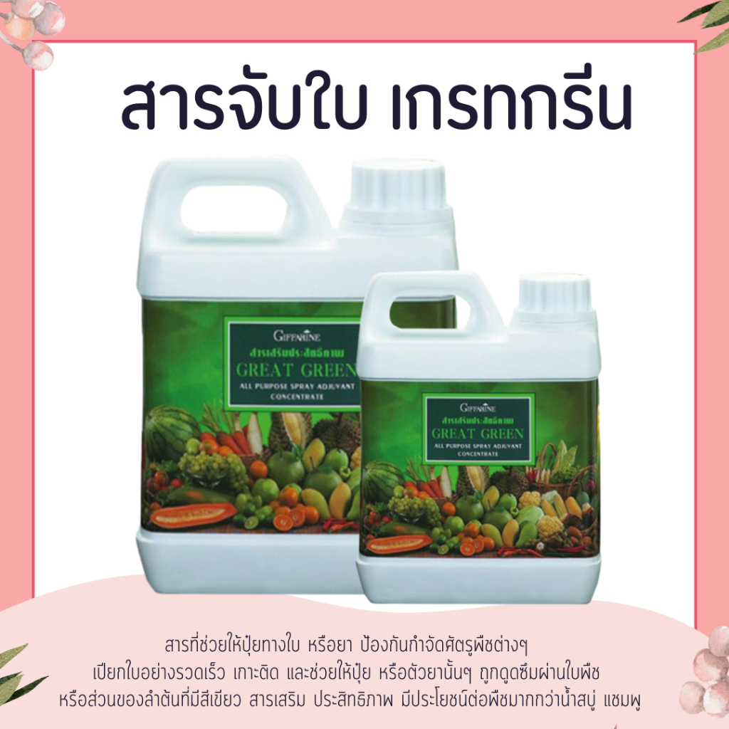 ปุ๋ย ปุ๋ยกิฟฟารีน สารจับใบกิฟฟารีน เกรทกรีน กิฟฟารีน ยาจับใบ สารเสริมประสิทธิภาพ จับใบ สารจับใบ