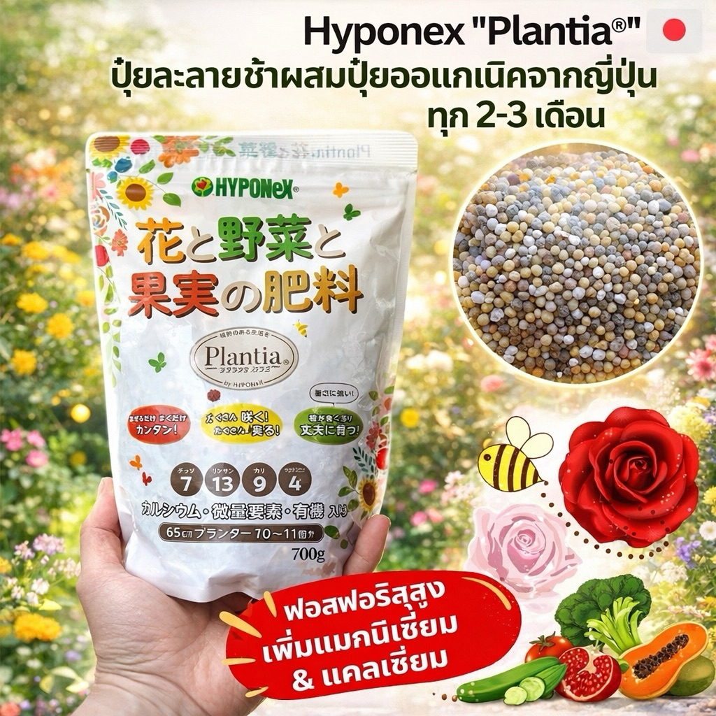 ปุ๋ยเม็ด จากญี่ปุ่น Hyponex"Plantia" เพิ่มธาตุแมกนีเซี่ยม Mg แคลเซี่ยม Ca