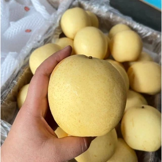 สาลี่ทองญี่ปุ่น หวาน กรอบ อร่อย 1 kg. มีประมาน 4-6 ลูก