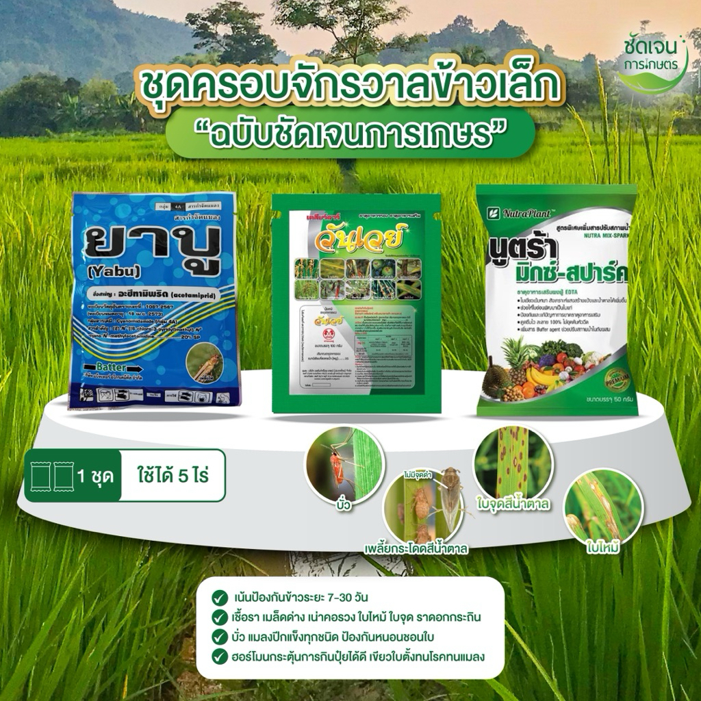 ชุดครอบจักวาลข้าวเล็ก 1 ชุด 5ไร่ ชัดเจนการเกษตร