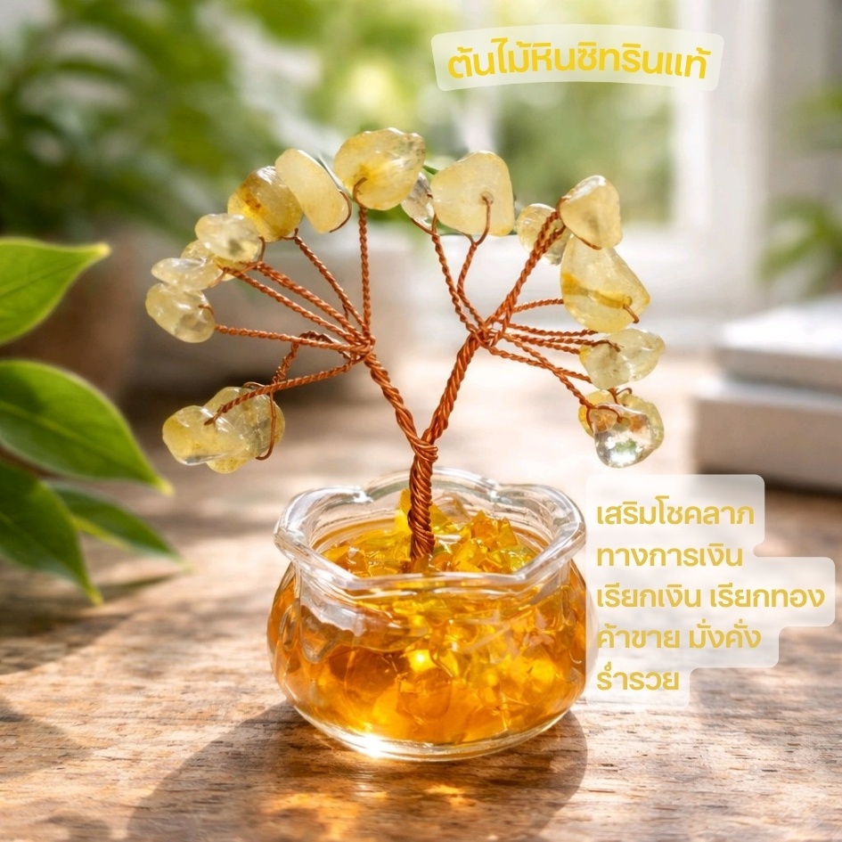ร้าน  ต้นไม้หินแท้ หินมงคล ไทเกอร์อาย อเมทิส โรสควอส มงคล รับทรัพย์ ปรับสมดุล ราคา ถูกที่สุด ดีลบีเคเค แกลเลอรีภาพที่ 4