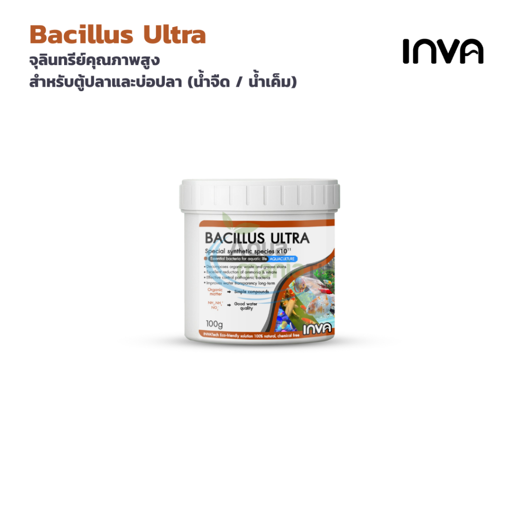 INVA BACILLUS ULTRA จุลินทรีย์เข้มข้นสูง สำหรับตู้ปลาและบ่อปลา ลดของเสีย ทำน้ำใส