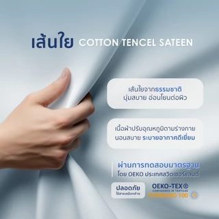 [ใหม่!] Welcare ปลอกหมอนหนุน Premium Silky Cotton เส้นใย TENCEL™ Pillowcase นุ่มลื่น เย็นสบาย ระบายอากาศดีเยี่ยม