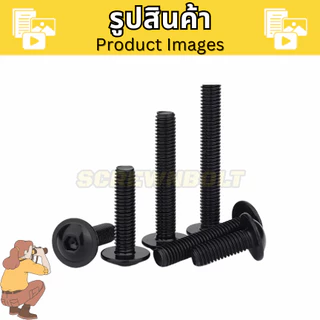 น็อต สกรู หัวจมกลม ติดแหวน ติดจาน สแตนเลส 304 ชุบดำ เกลียวมิล หยาบ M5 M6 M8 M10