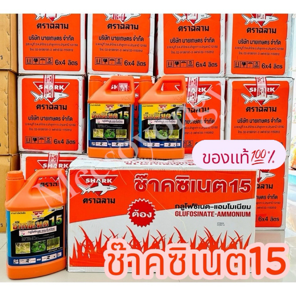 ช๊าคซิเนต(น้ำสีฟ้า)#กลูโฟซิเนต แอมโมเนียม 4 ลิตร ***(ขนาดบรรจุ 6 แกลลอน/ลัง*** #ยากำจัดหญ้า