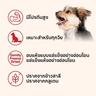 เคลลี่แอนด์โค บุชเชอร์คัต ขนมฟรีซดราย สำหรับสุนัข 55 กรัม