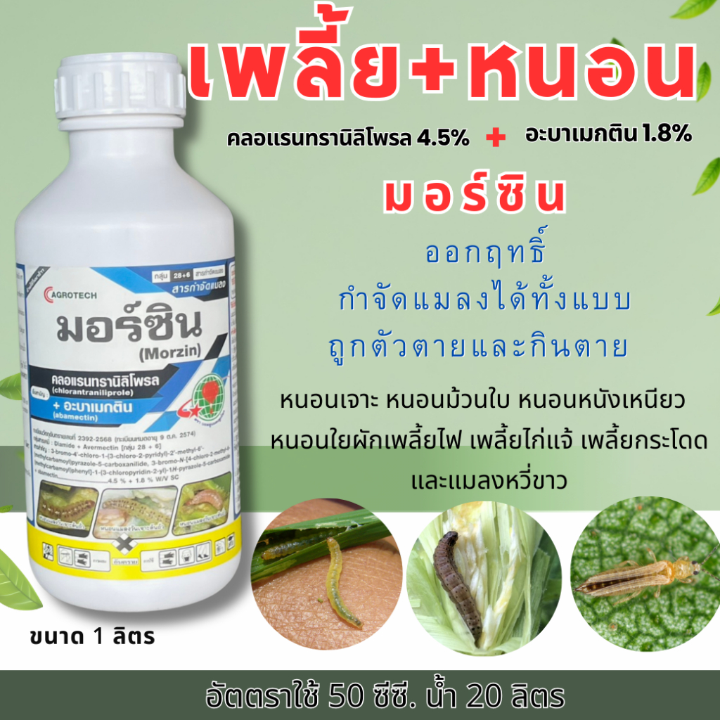 2 ตัวบวก มอร์ซิน ขนาด 1 ลิตร คลอแรนทรานิลิโพรล 4.5% และ อะบาเมกติน 1.8% w/v SC กำจัดเพลี้ยไฟ เพลี้ยไก่แจ้ เพลี้ย