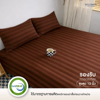 Solomon ชุดผ้าปูที่นอน สีน้ำตาล Cotton 100% พร้อมปลอกหมอนและปลอกหมอนข้าง สัมผัสนุ่ม สบายผิว