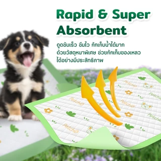 Pitpat （Petcho）แผ่นรองฉี่สัตว์เลี้ยง แผ่นซับฉี่หมา กลิ่นหญ้าสดชื่น ดูดซับไว ลดกลิ่น กันซึม ไม่รั่ว สำหรับฝึกขับถ่าย