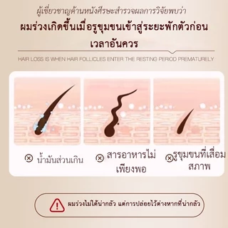 [สุดคุ้ม 1+1] SAFEMILD ช่วยดูแลและทำความสะอาดเส้นผม บำรุงผมแห้งเสีย แชมพู + คอนดิชั่นเนอร์ 300+160มล
