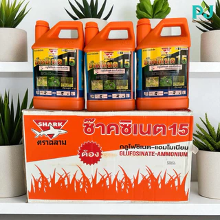 ช๊าคซิเนต15 ขนาด 4L((แพ็ค 4 แกลลอน)) #กลูโฟซิเนต น้ำสีฟ้าเกรดA เผาไหม้กึ่งดูดซึม