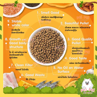 ⚡Flash Sale⚡อาหารปลาคาร์ฟ Sakura Koi (ซากุระ โค่ย) สูตรสมดุล Staple Formular ขนาด 1.25 กก และ 6.5 กก