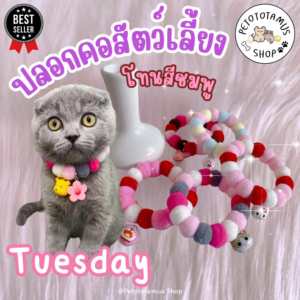 Petototamus |Tuesday #1 : ปลอกคอแมว (โทนสีชมพู) Pink tone ปลอกคอสุนัข ปลอกคอสัตว์เลี้ยง ปอกคอแมว