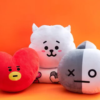 BT21 Pillow Blanket หมอนซุกมือมีผ้าห่ม สินค้าลิขสิทธิ์แท้ 100%