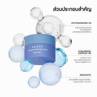 SKINPRO SET All Day Treatment 30 g.& Overnight Recovery Mask 30 g.
