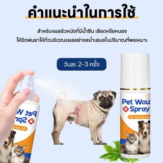 💊อ่อนโยน ไม่แสบ🐱สเปรย์สมานแผลสำหรับสัตว์เลี้ยง สเปรย์พ่นแผล สเปรย์นาโน ดูแลแผลไว ใช้ได้ทั้งแมวหมา ปลอดภัยเลียได้