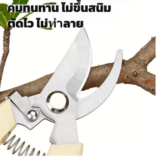 กรรไกรตัดแต่งไม้สแตนเลส ประหยัดแรง ตัดกิ่งไม้หนา เครื่องมือสวนมืออาชีพ