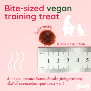 Sweet & Sour Crisps บิสกิตแอปเปิ้ล มังสวิรัติ ขนมสุนัข วีแกน Lulu & Co Dehydrated Dog Treat