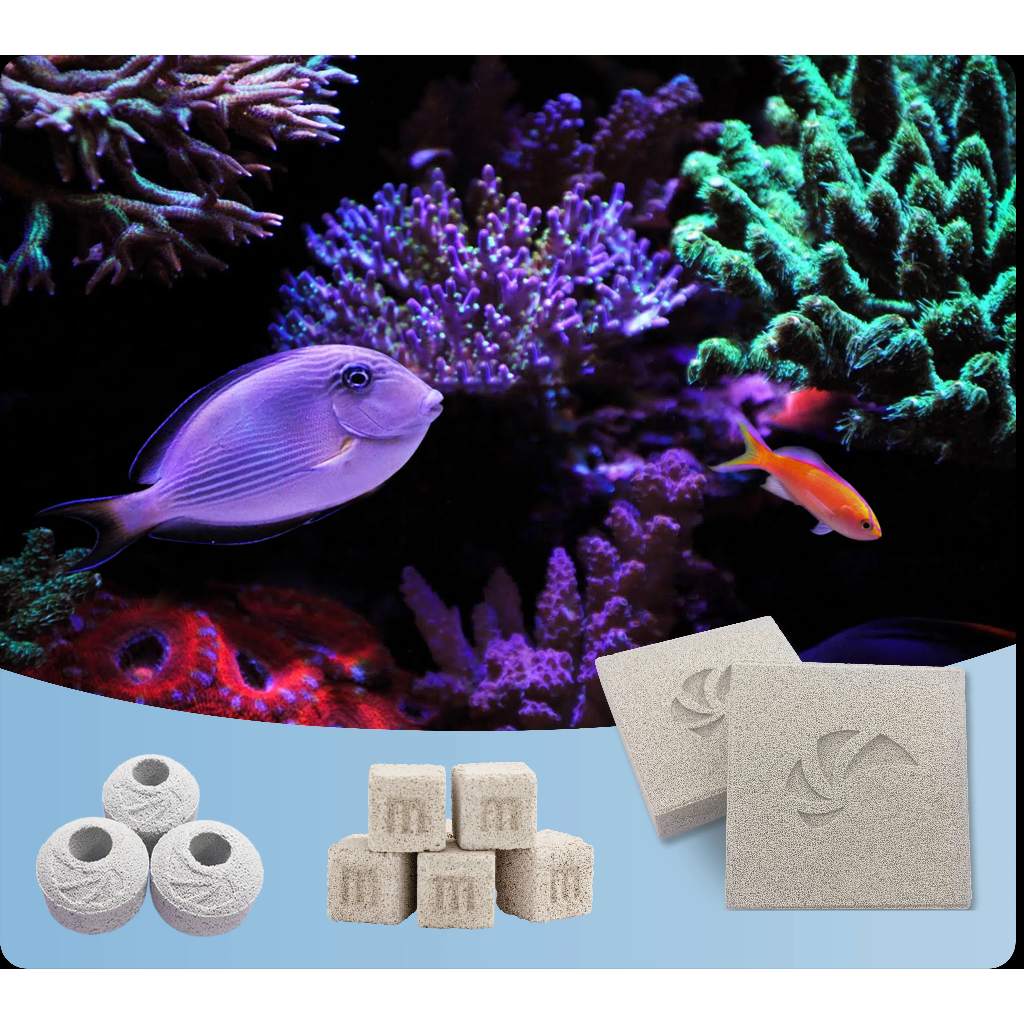MAXSPECT NANO-TECH CUBELET รุ่นใหม่ 2026 เทคโนโลยี W-BAF ลดของเสียรวดเร็ว bio media Probiotic brick ตู้ ปลาทะเล หินเป็น ราคา ถูกที่สุด ดีลบีเคเค แกลเลอรีภาพที่ 8