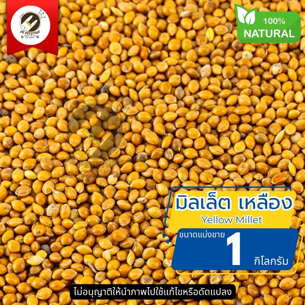 มิลเล็ต เหลือง Yellow Millet ธัญพืช Seed (ขนาดแบ่งขาย) สำหรับนกหลายชนิด รวมทั้งนกหงส์หยก, นกเลิฟเบิร