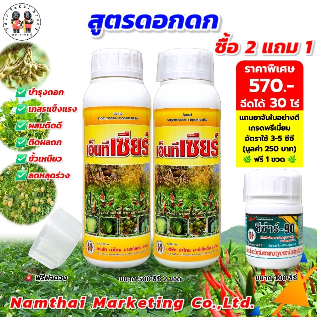 ตราเงาะคู่ เอ็นทีเซียร์ ดอกดก เกสรแข็งแรง ผสมติดดี ผลดก ขั้วเหนียว [2 แถม 1]