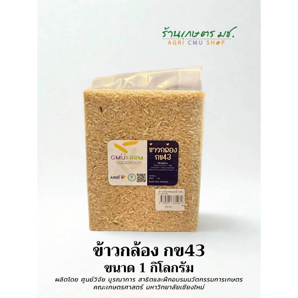 ข้าวกล้อง กข43 (เกษตร มช.)