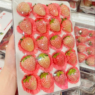 สตอเบอรี่สีชมพู💖สายพันธุ์เกาหลีแท้ หวานฉ่ำ รับประกันสินค้าขน…