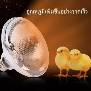 【HS】จัดส่งฟรี! ไฟกกสัตว์ ขั้ว E27 100W/275W ร้อนเร็ว กระจายความร้อนดี หลอดไฟอินฟาเรด กันระเบิด กกไก่/สุนัข ปลอดภัย คุณภา