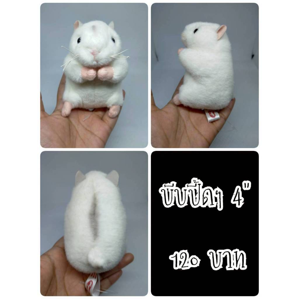 Hamster#แฮมสเตอร์#หนู#Ueno Zoo#มือเป็นตีนตุ๊กแก#บีบปี๊ดปี๊ด#ตุ๊กตาญี่ปุ่นมือสอง