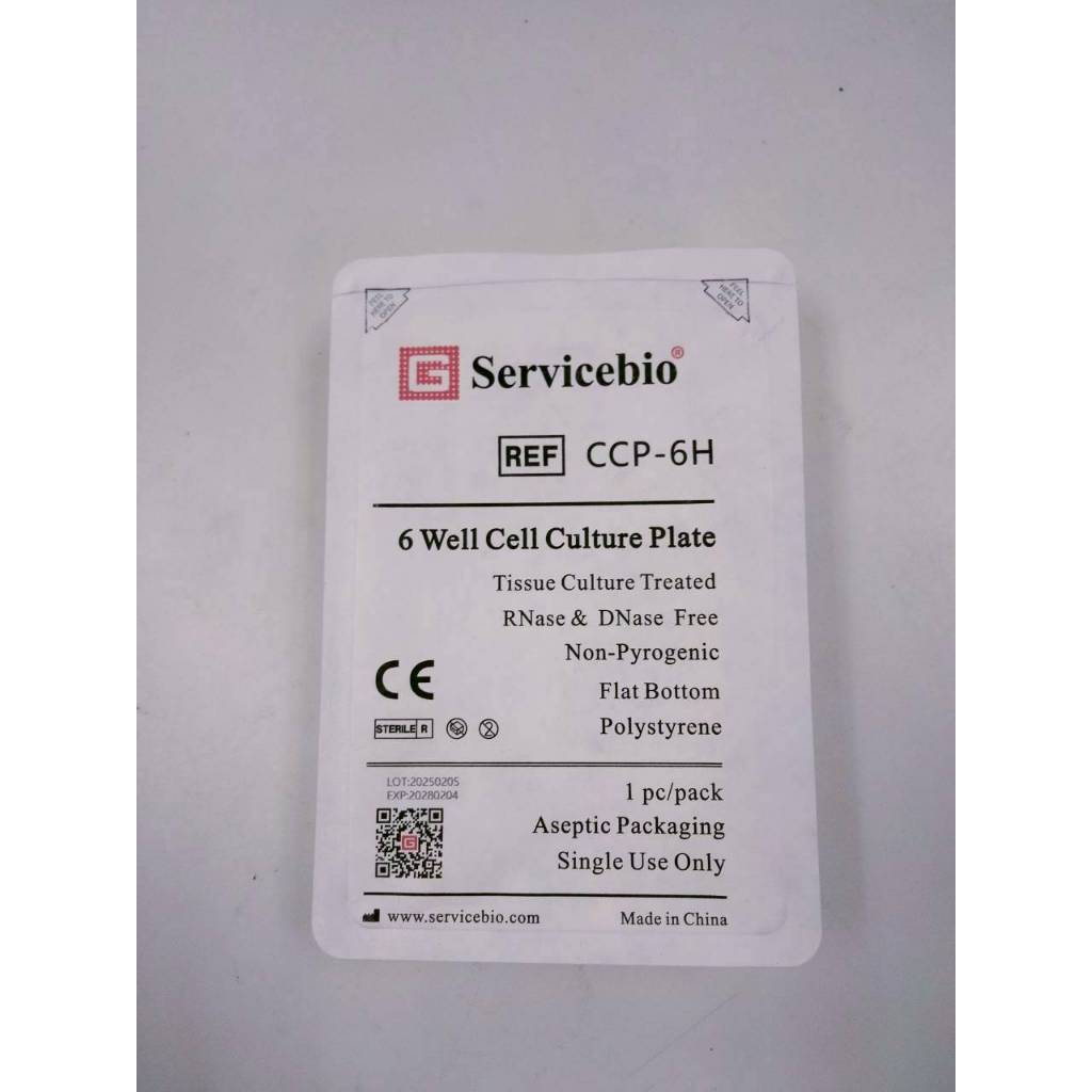 จานหลุมพลาสติกใส ปราศจากเชื้อ 6-Well Cell Culture Plate (Cell Culture Plate) 6 หลุม