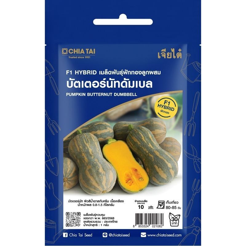 เมล็ดพันธุ์ ฟักทอง บัตเตอร์นัทดัมเบล เจียไต๋