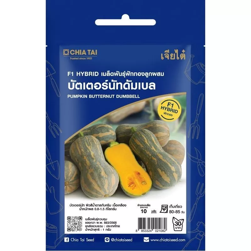 เมล็ดพันธุ์ ฟักทอง บัตเตอร์นัทดัมเบล เจียไต๋